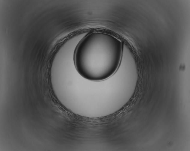 X0000089750920200707121338