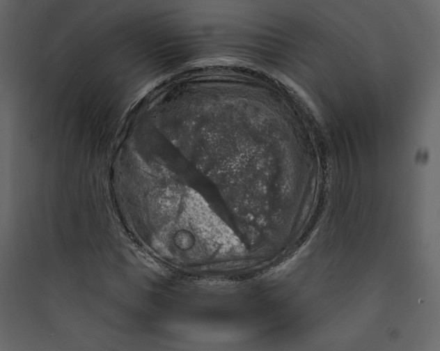 X0000089750921200707121338