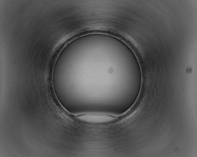 X0000089750922200707121338