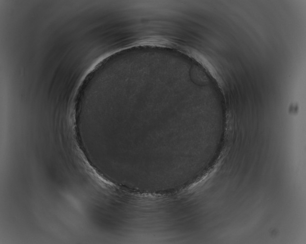 X0000089750923200707121338