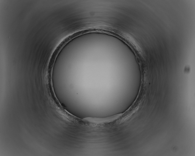 X0000089750924200707121338