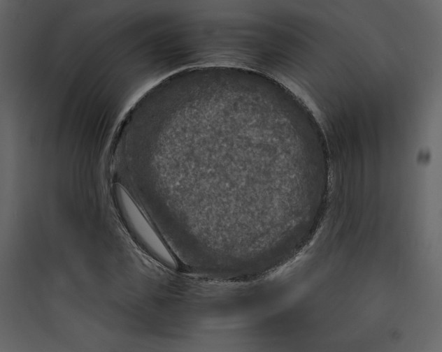 X0000089750925200707121338