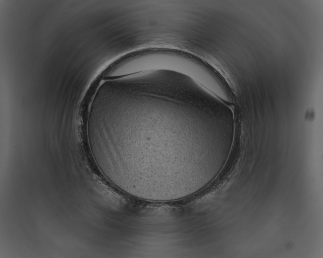 X0000089750926200707121338