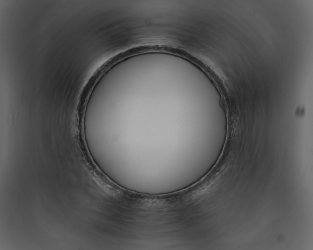 X0000089750927200707121338