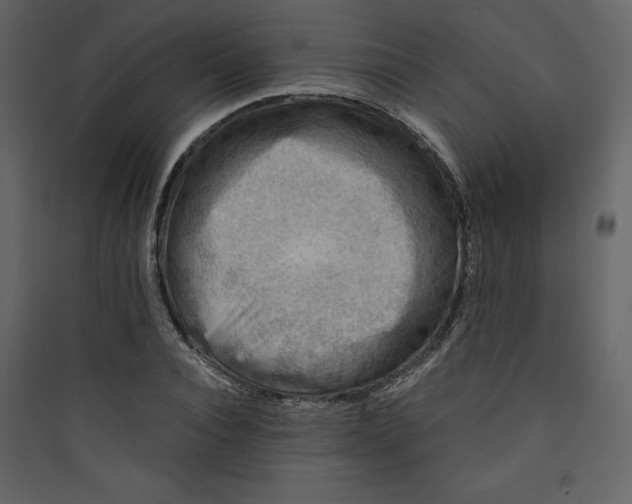 X0000089750928200707121338