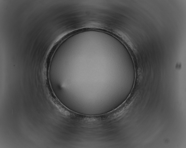 X0000089750931200707121338