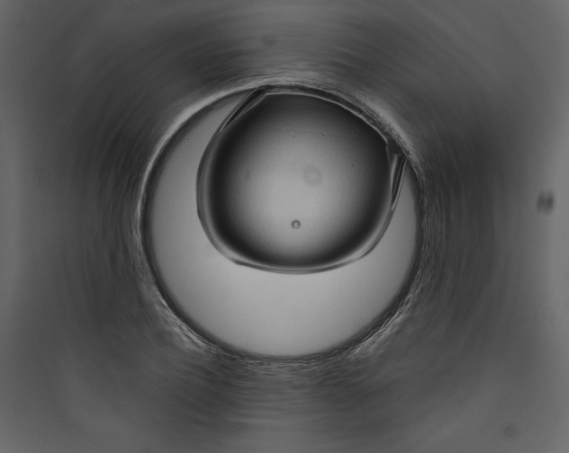 X0000089750932200707121338