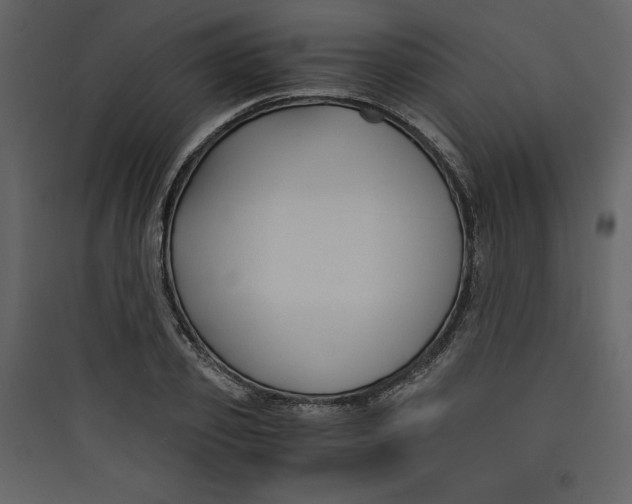 X0000089750933200707121338