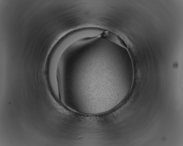 X0000089750934200707121338