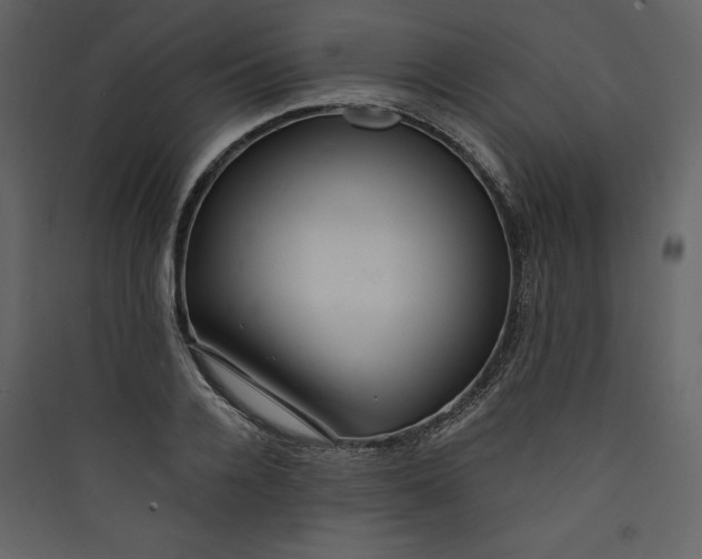 X0000089750936200707121338