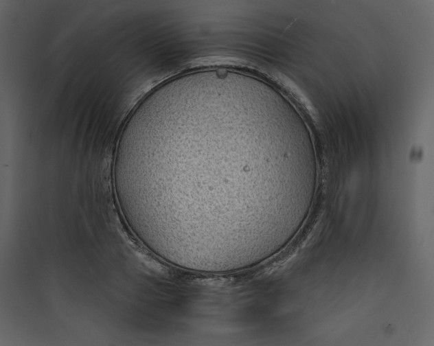 X0000089750937200707121338