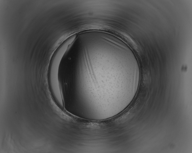 X0000089750938200707121338