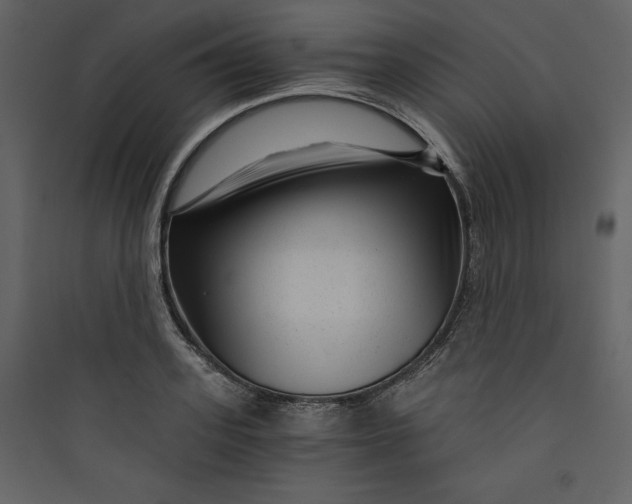 X0000089750939200707121338