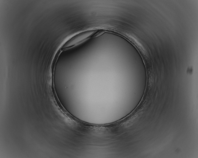 X0000089750940200707121338