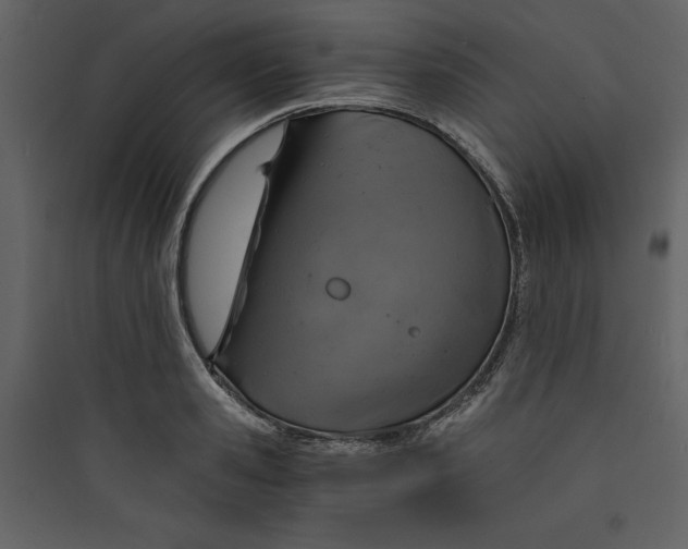 X0000089750941200707121338