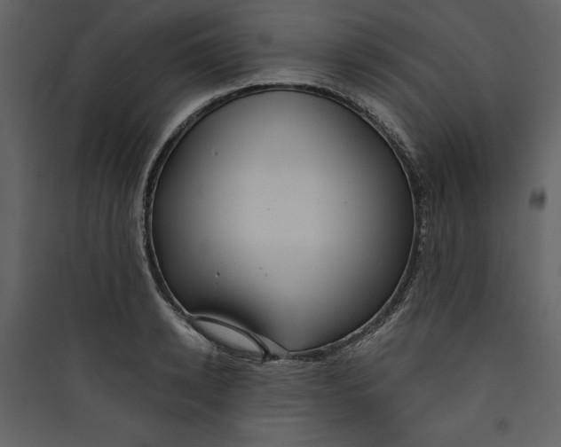 X0000089750942200707121338