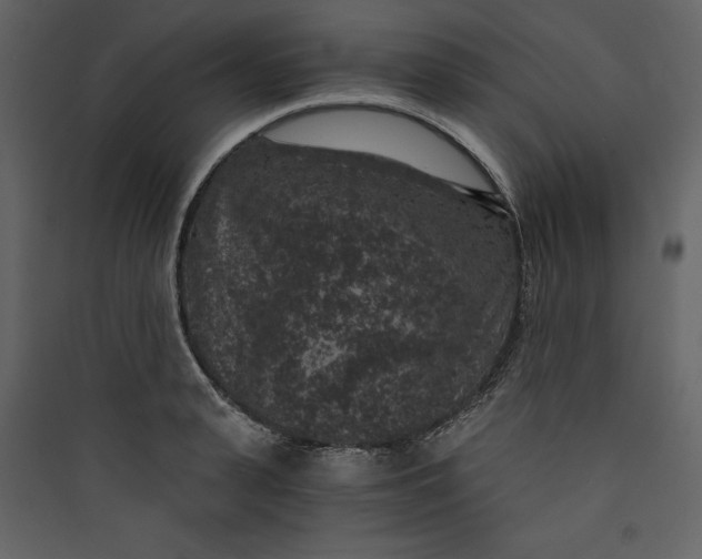 X0000089750943200707121338