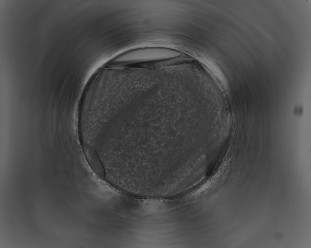 X0000089750944200707121338