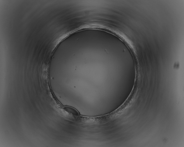 X0000089750945200707121338