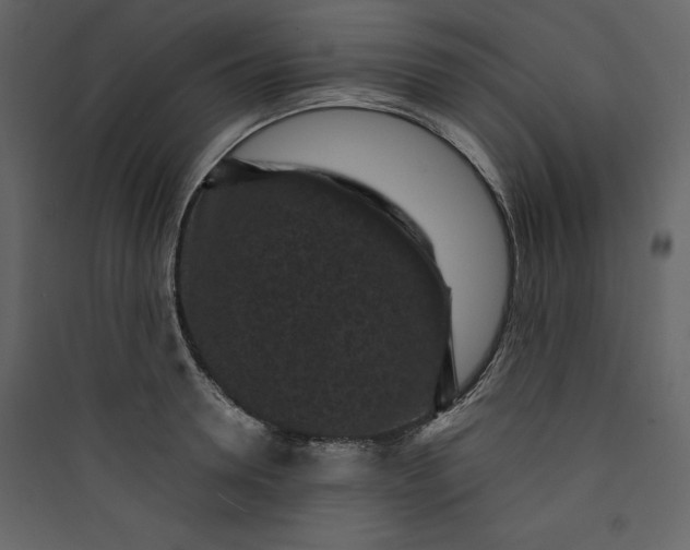 X0000089750946200707121338