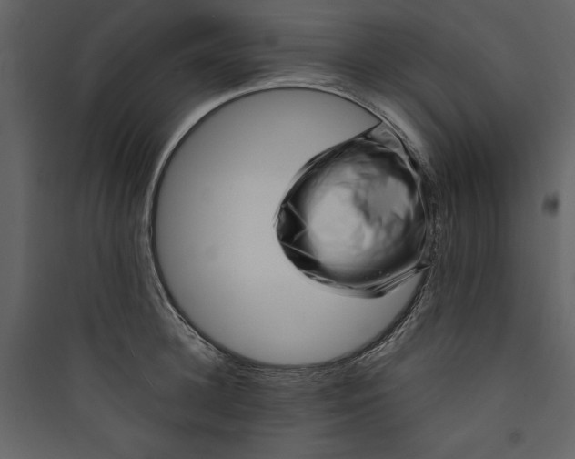 X0000089750948200707121338