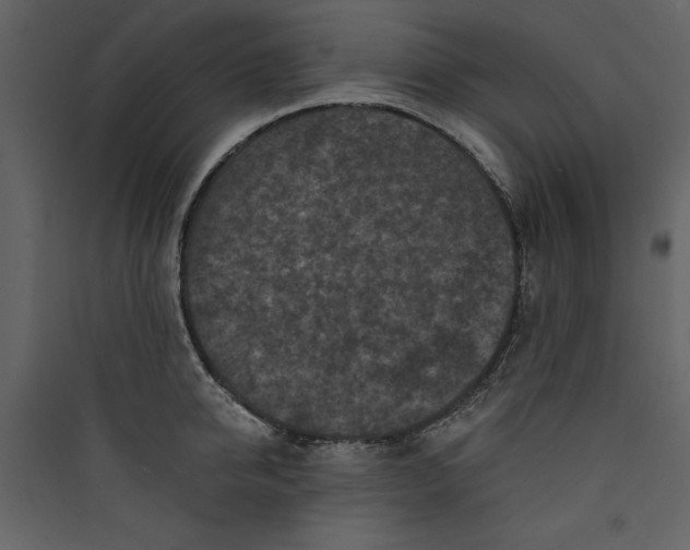 X0000089750950200707121338