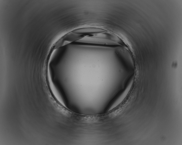 X0000089750952200707121338