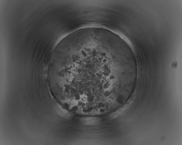 X0000089750953200707121338