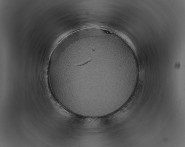 X0000089750954200707121338