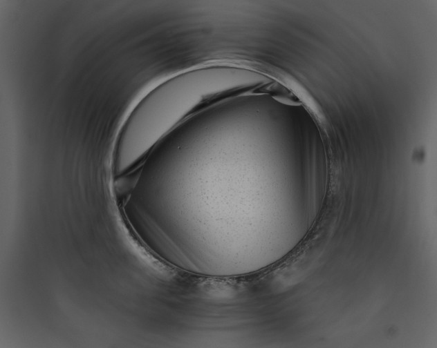 X0000089750955200707121338