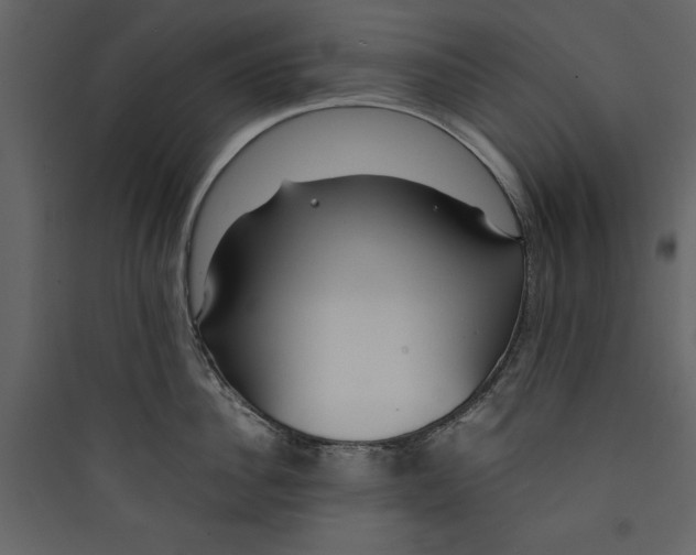 X0000089750956200707121339