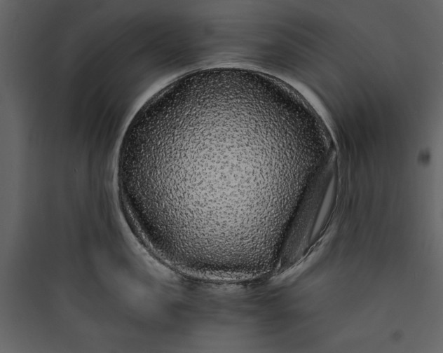 X0000089750957200707121339