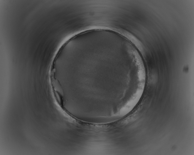 X0000089750958200707121339