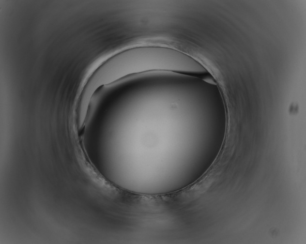 X0000089750960200707121339