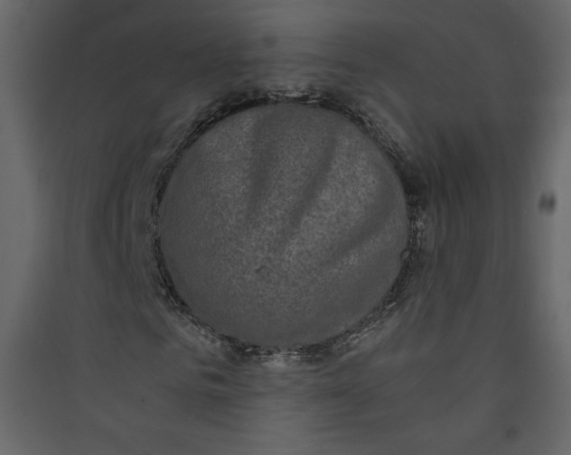 X0000089750961200707121338