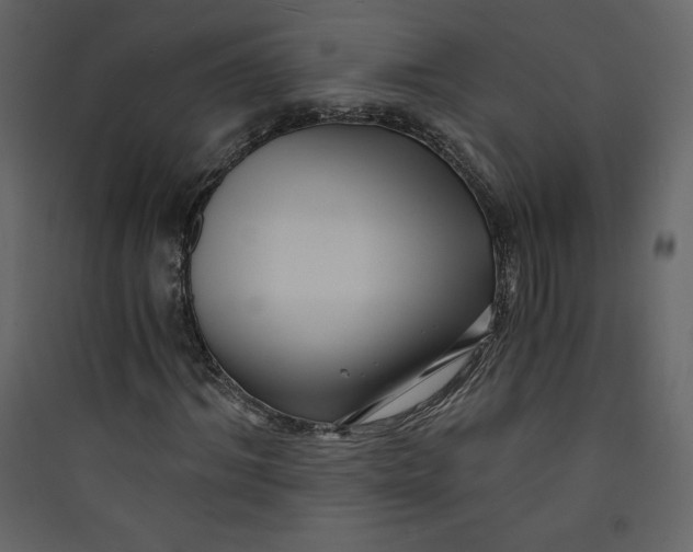 X0000089750964200707121338