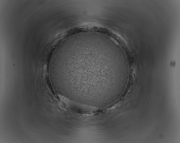 X0000089750965200707121338