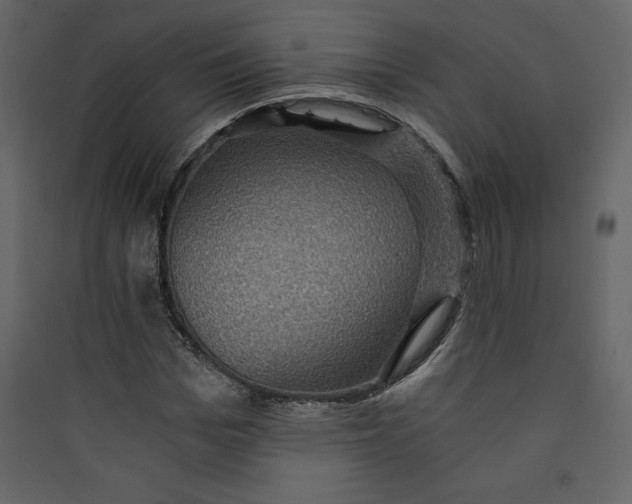 X0000089750969200707121338