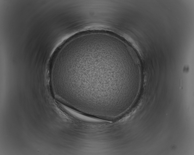 X0000089750973200707121338