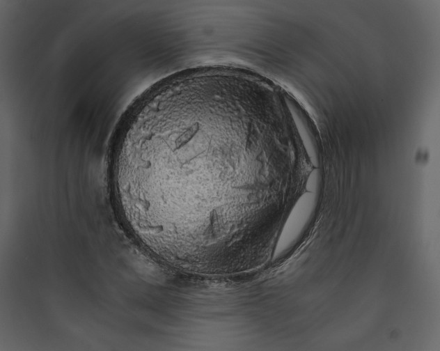 X0000089750975200707121338