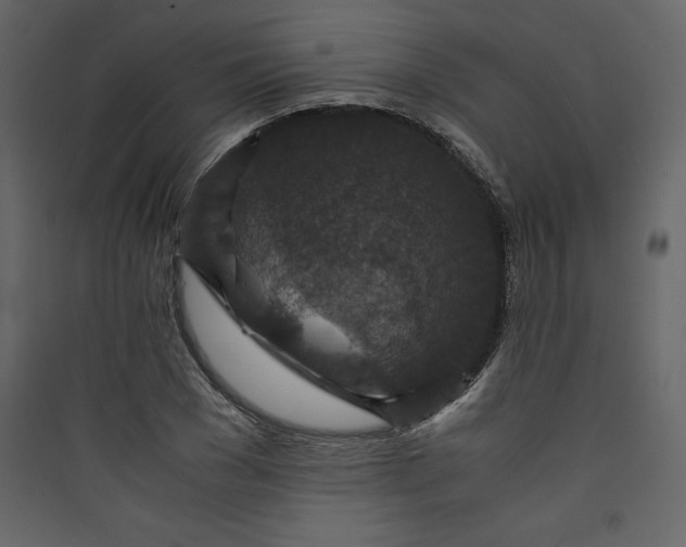 X0000089750977200707121338