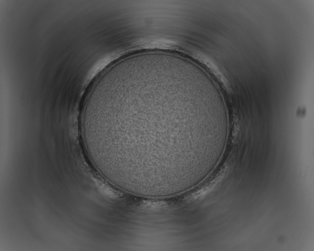 X0000089750978200707121338