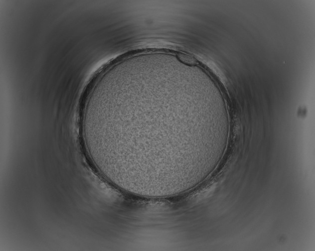 X0000089750979200707121338