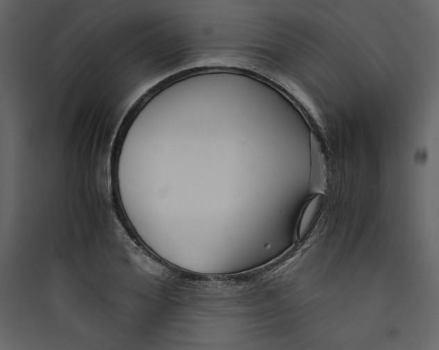 X0000089750980200707121338