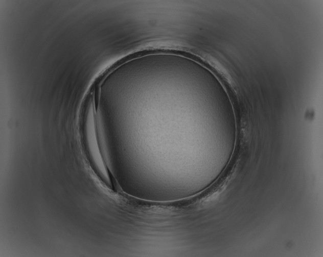 X0000089750981200707121338