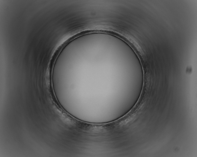 X0000089750982200707121338