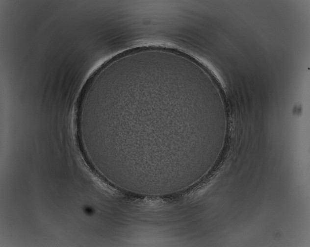 X0000089750983200707121338