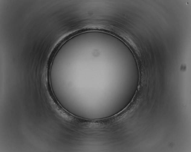 X0000089750984200707121337