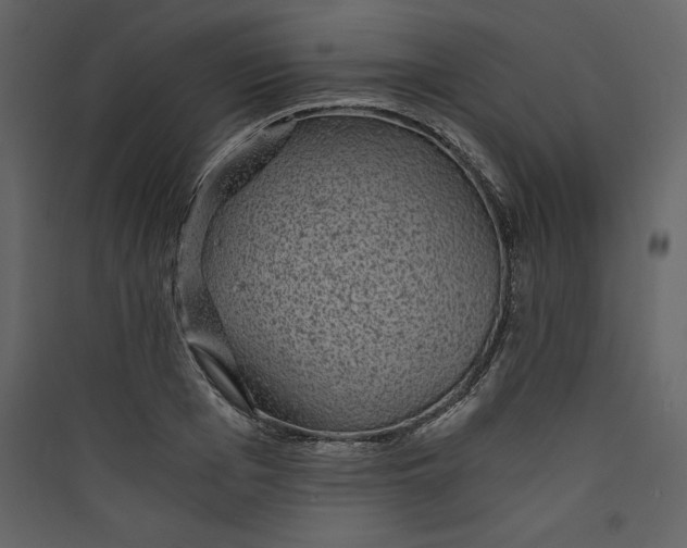 X0000089750985200707121337