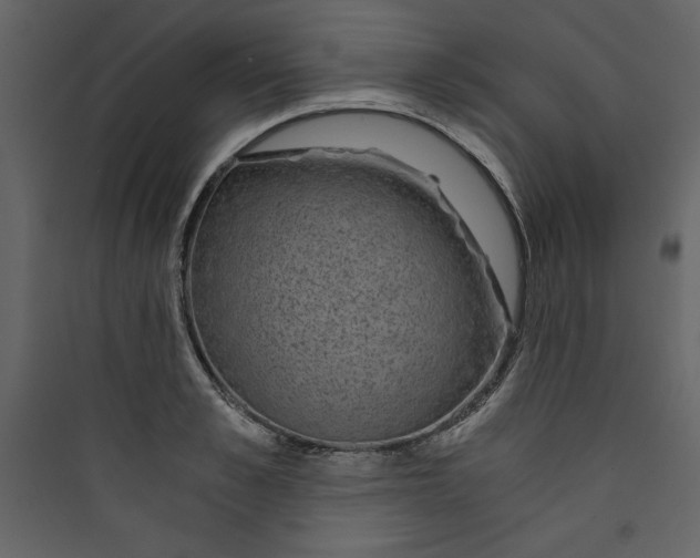 X0000089750989200707121337